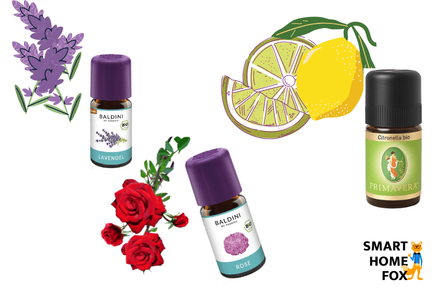 Mehrere naturreine Öle stehen neben der Pflanze aus der sie gewonnen werden